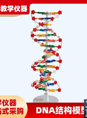 DNA双螺旋结构模型组件J33306高中学生用生物实验器U材dna教学仪