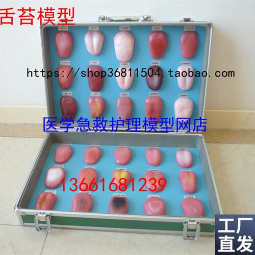舌苔模型舌苔病理n模型舌像模型30件/套舌苔症状对比模型