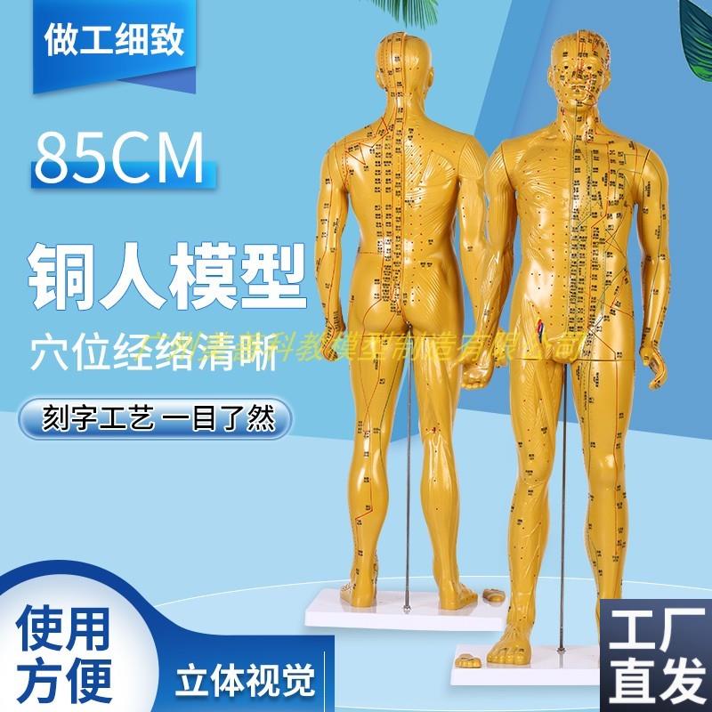 85cm超清晰经络通针灸铜人体穴A位模型中医针灸人体模型十二经络