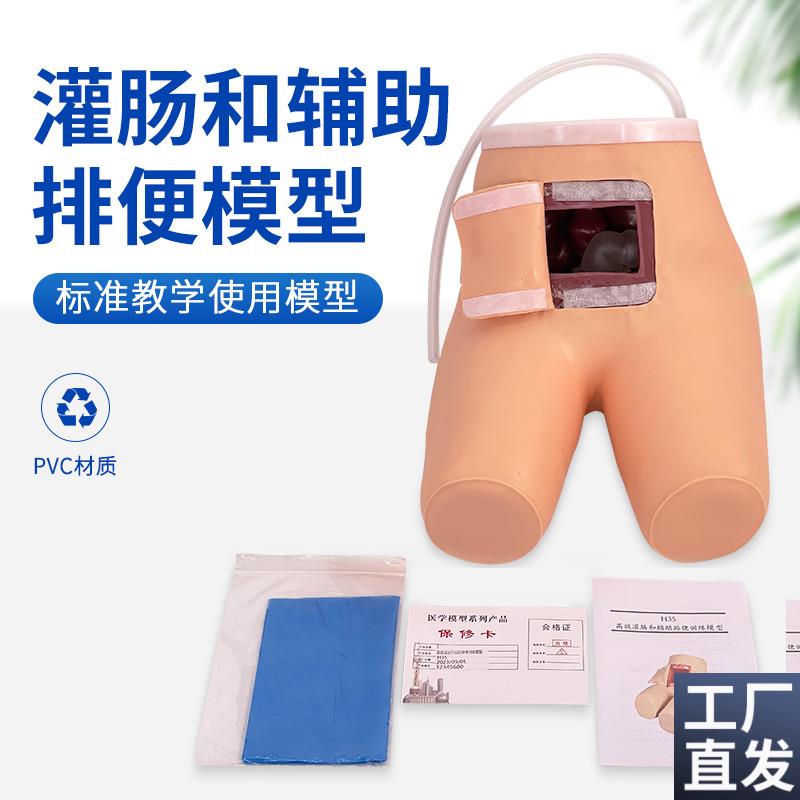 灌肠和辅助排便训练n模型护理教学操作练习道具灌肠辅助排便模型