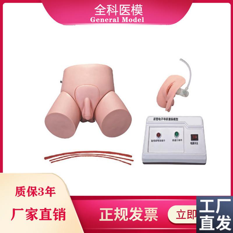 电子导尿灌肠教学实习模型男女护理导K尿训练操作模具教学仪器