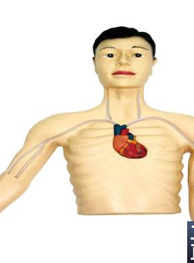 PICC介g入模型佳悦医学模型JY/L69E