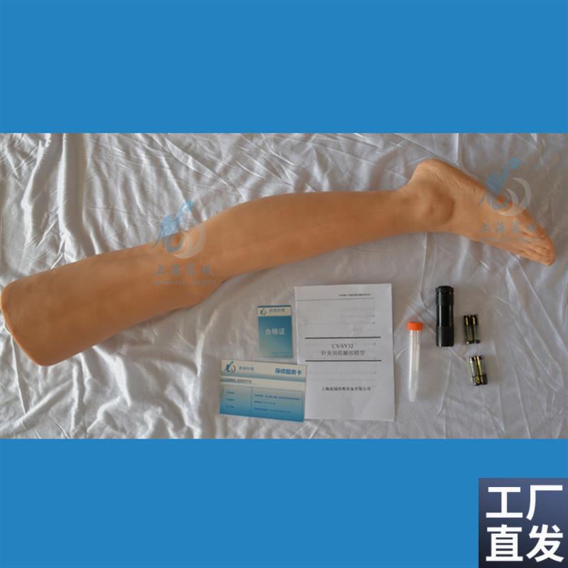 针灸腿部训练模型针灸头部训练模型针灸臀部训练T模型针刺训练手