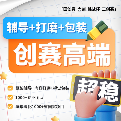 辅导+高端定制