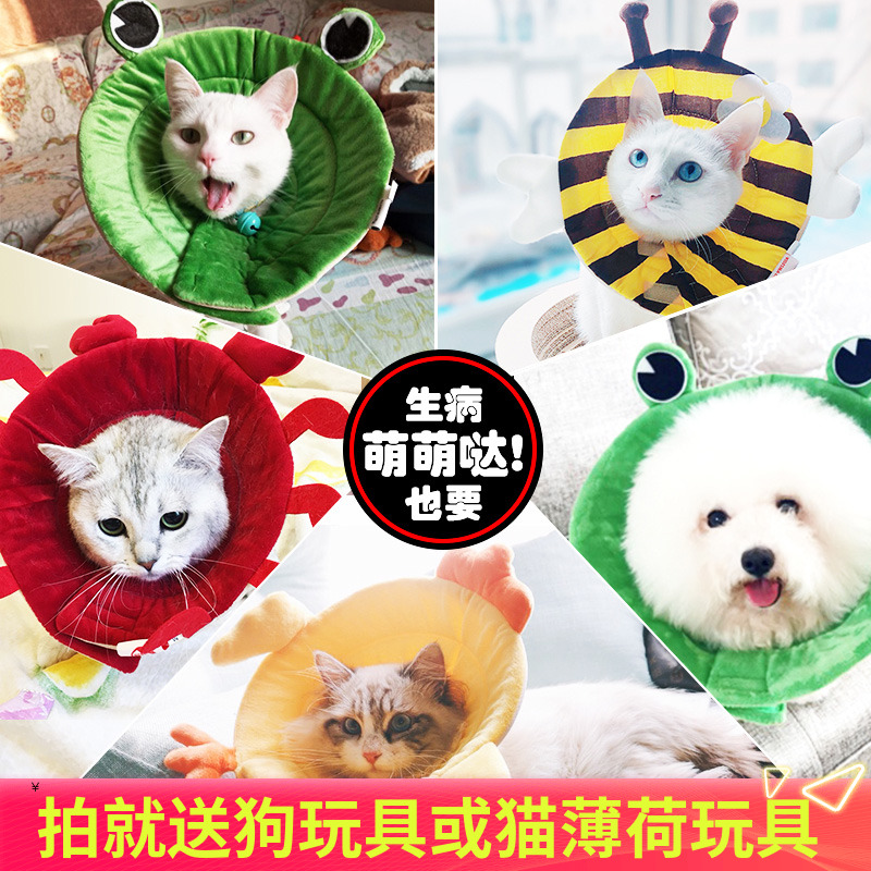 伊麗莎白圈貓咪狗狗脖圈脖套寵物防抓咬防舔頭套貓軟圈恥辱圈用品