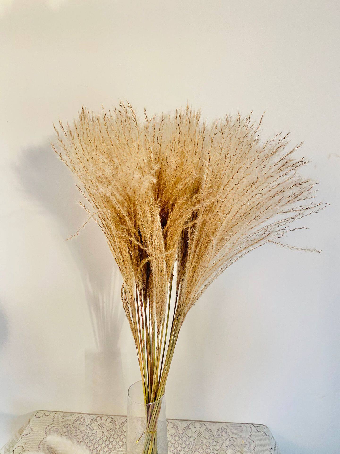 干花芦苇花束装饰拂尘花田园家居婚庆创意文艺青插花造景小芦苇花