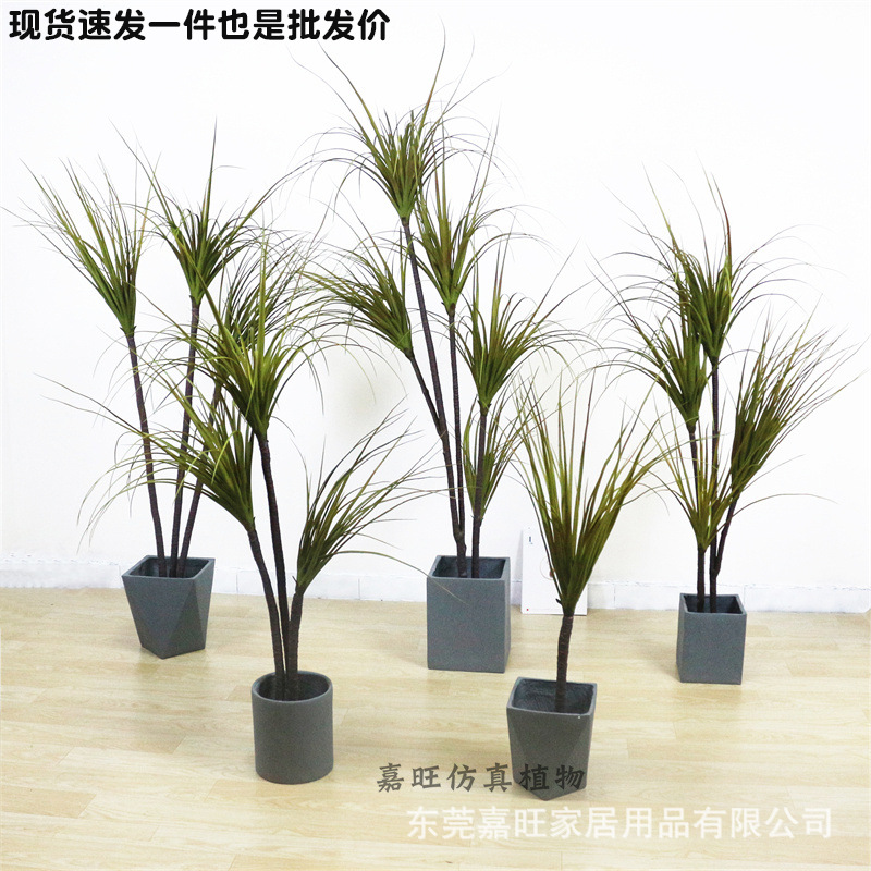 龙血铁树落地花卉室内景观造景北欧风格家居摆件仿真绿植客厅假花