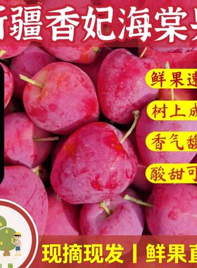 新疆鸡心果香妃海棠果脆甜小苹果当季鲜果现摘现发整箱顺丰可选
