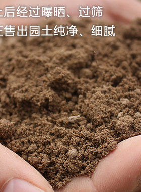 建国碗莲苑田园土家庭园艺