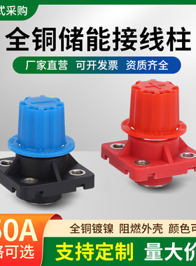 250a铅改锂储能接线柱新能源锂电池汽车强启电池接线端子