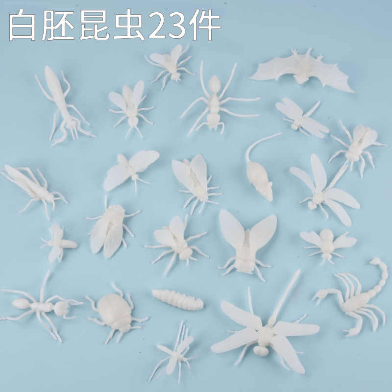 儿童可上色白胚昆虫模型沙盘动物摆件玩具仿真昆虫白胚模型玩具