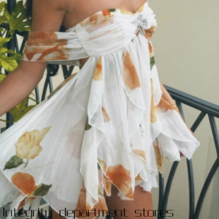 dress雪纺印花法式 Floral 抹胸名媛 sexy beach print suspender