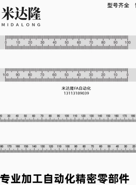 标尺 刻度纵向型 BLR51/52/55/56/61/62/65/66/67-L100 L200 L300