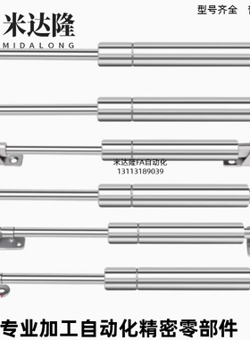 不锈钢氮气汽弹簧支撑液压 FRGSS-A/B60-100/125/150/200/300/400