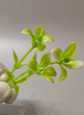 胶花意境摆盘酒店用品厨房配件