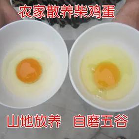 蓟州山区农家散养土鸡蛋新鲜柴鸡蛋正宗农村笨鸡蛋山间自养 顺丰
