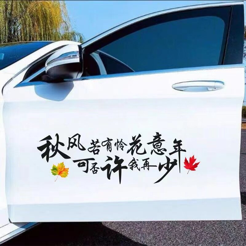 创意个性防水拉花车贴