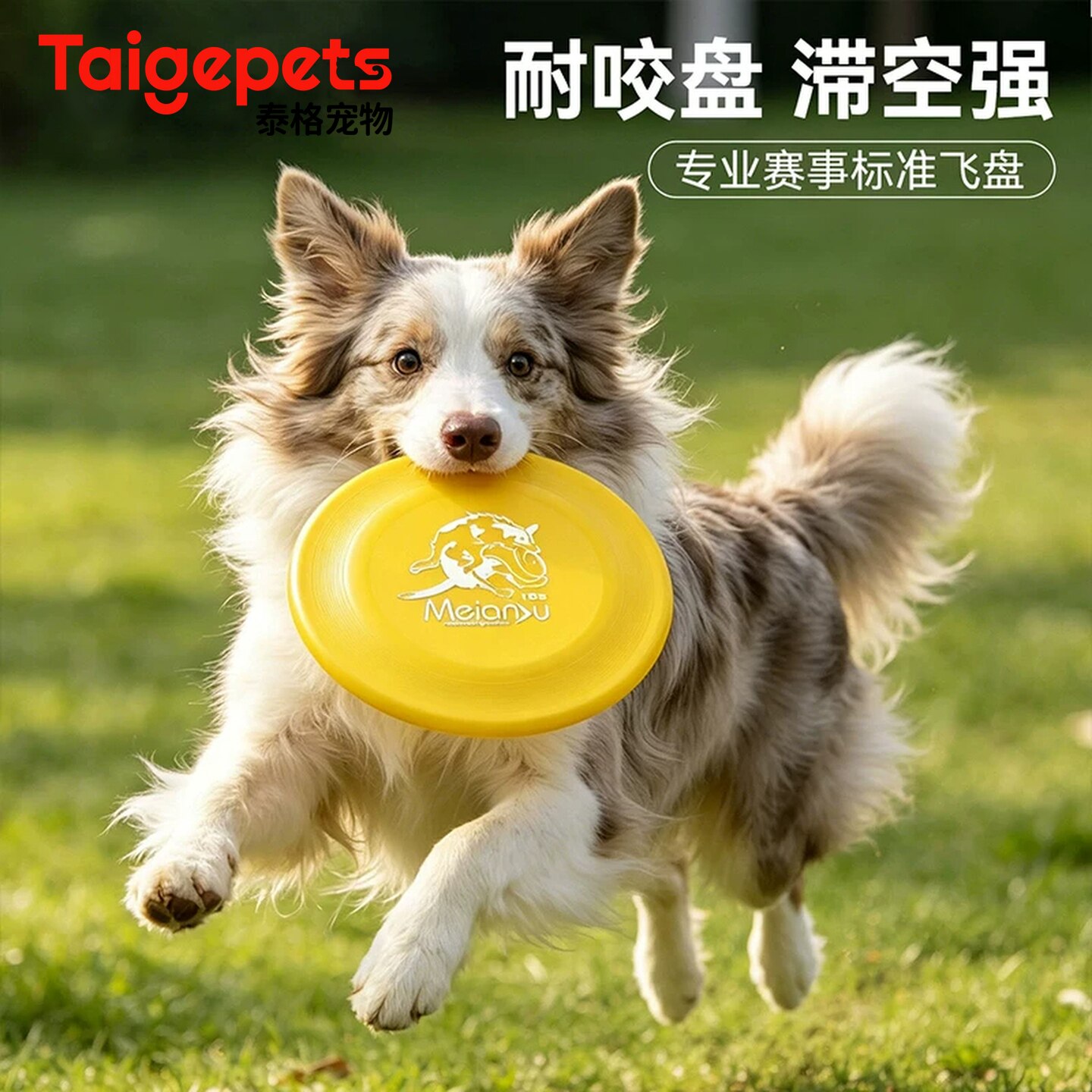 狗狗飞盘专业赛级标准耐咬消耗体力训练磨牙巡回边牧金毛解闷玩具