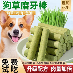 狗草棒狗狗磨牙零食狗草冻干幼犬成犬化毛球排毛狗草片洁齿磨牙棒