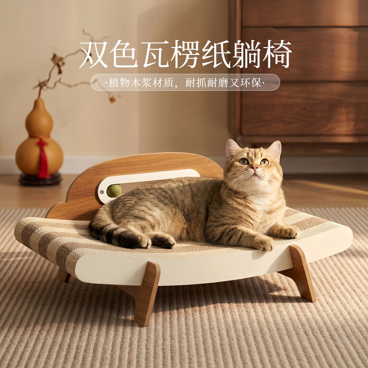谁家小猫咪不爱瘫着晒太阳图片
