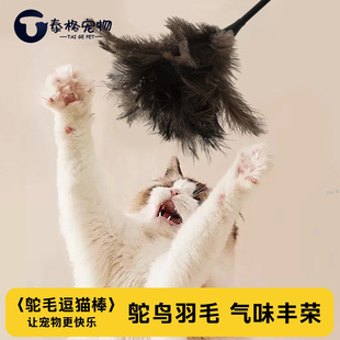 驼鸟毛逗猫棒猫咪玩具羽毛自嗨解闷气味丰荣天然厚不掉毛耐咬除尘