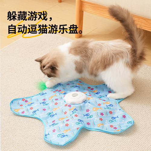躲猫猫互动，猫咪越玩越疯