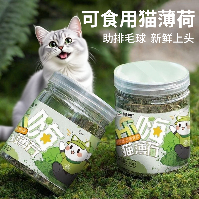 猫薄荷粉末可食用猫薄荷茶