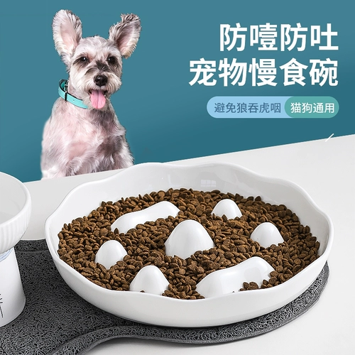 Pet Pet Mlow Food Bow