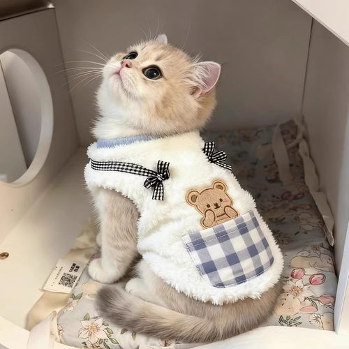 2025新款加厚猫衣服冬装