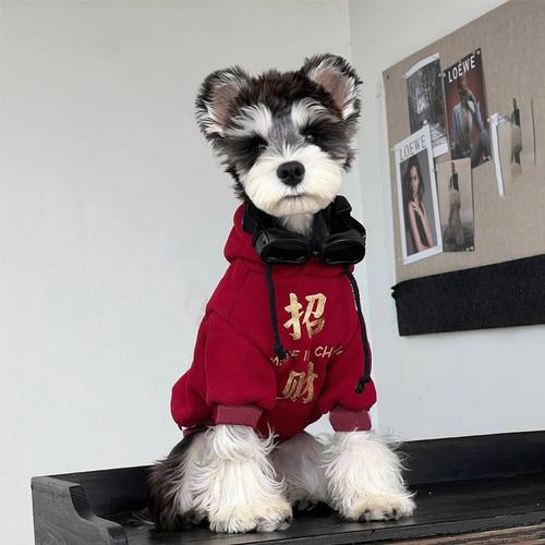 宠物狗狗衣服连帽运动衫防掉毛四脚衣泰迪柯基比熊小狗衣服
