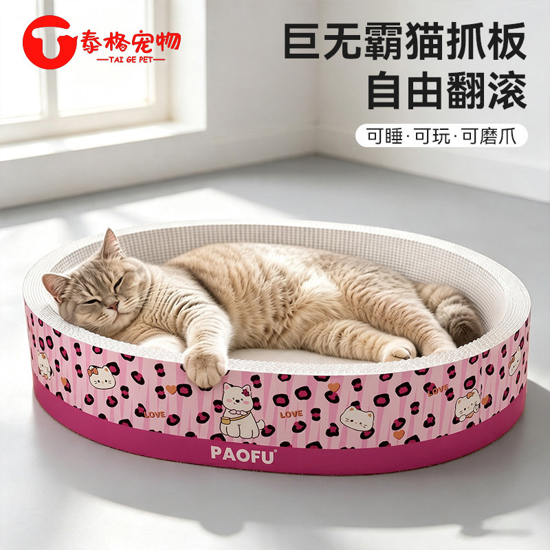 加深设计，猫咪蜷卧安全感满满图片