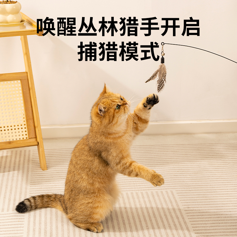 CFA赛级逗猫棒猫咪玩具自嗨解闷