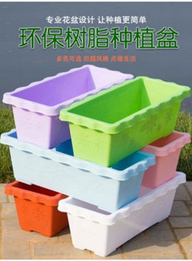 特价阳台室内蔬菜种植盆 带托盘 蔬菜花盆 种蔬菜菜盆长方形加厚