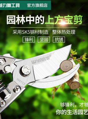 威力狮园艺剪刀修枝剪果树粗枝剪SK5钢省力家用修花剪刀园林工具