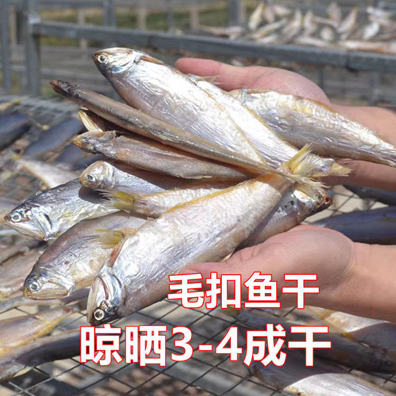 青岛淡晒深海鲫鱼干毛扣油扣货黄尖子鱼马口鱼5斤顺丰