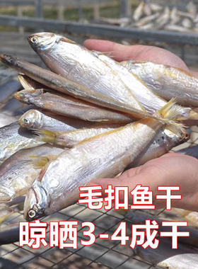 青岛一卤鲜淡晒海鲫鱼干5斤