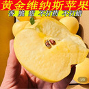 包邮 山东维纳斯苹果当季 现摘新鲜水果烟台黄金苹果脆甜雀斑丑苹果