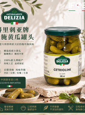 意大利得里刺亚牌醋腌青瓜罐头580克Delizia Gherkins In Vinegar