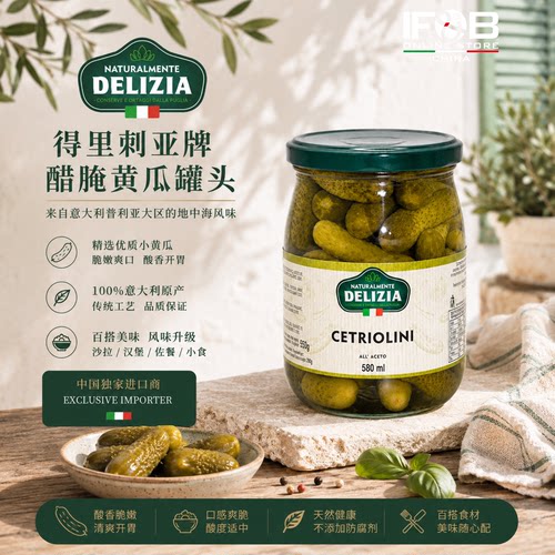意大利得里刺亚牌醋腌青瓜罐头580克Delizia Gherkins In Vinegar