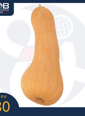 贝博农场奶油南瓜 3公斤 Bebbo's Farm Butternut Pumpkin