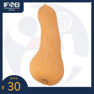 贝博农场奶油南瓜 3公斤 Bebbo's Farm Butternut Pumpkin