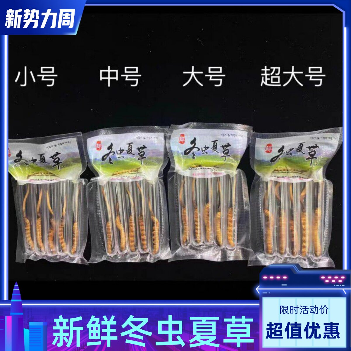 正品那曲头期草新鲜冬虫夏草西藏虫草0.8克/根鲜虫草旗舰店礼盒装