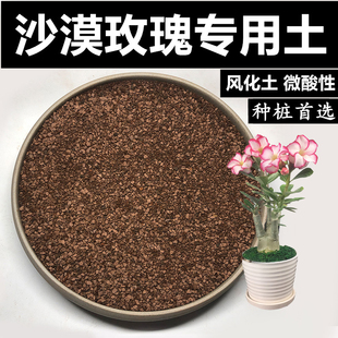 沙漠玫瑰土风化土颗粒土红土酸性土盆景土风化石赤玉土种桩专用土