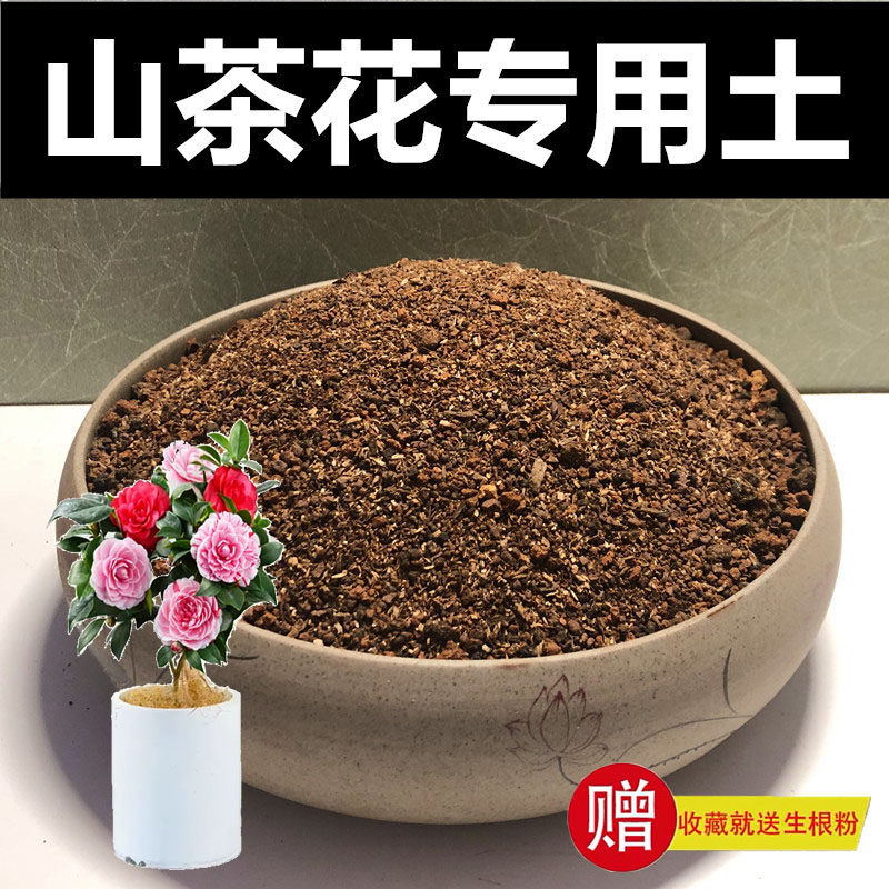 山茶花专用土营养土颗粒土种植土风化土红沙土酸性盆景土赤玉土,鲜花速递/花卉仿真/绿植园艺,介质/营养土,淘宝优惠券,粉丝福利购,淘宝优惠卷