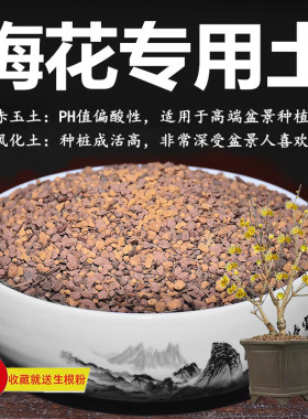 梅花土腊梅专用土赤玉土风化土