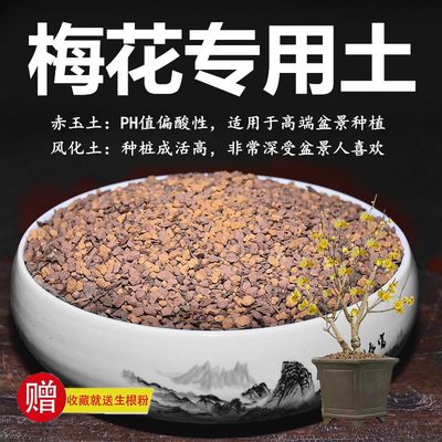梅花土腊梅专用土赤玉土风化土颗粒土红土专用肥玉肥营养土种植土