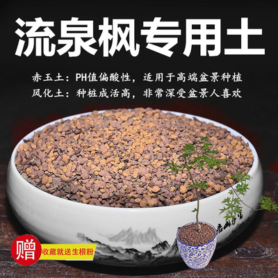 流泉枫专用土枫树赤玉土风化土风化石颗粒土酸性土红土专用肥玉肥