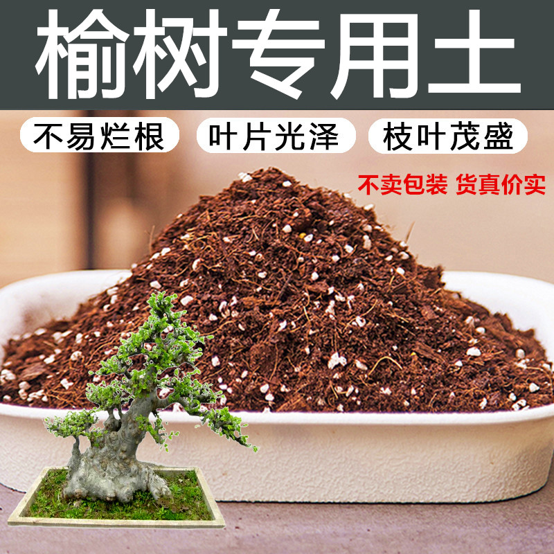 酸性沙质专用土盆栽土营养土