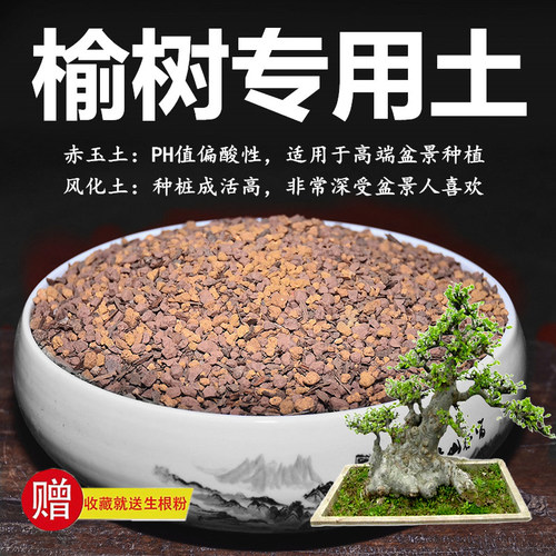 榆树专用土赤玉土风化土风化石颗粒土酸性土红土专用肥玉肥营养土
