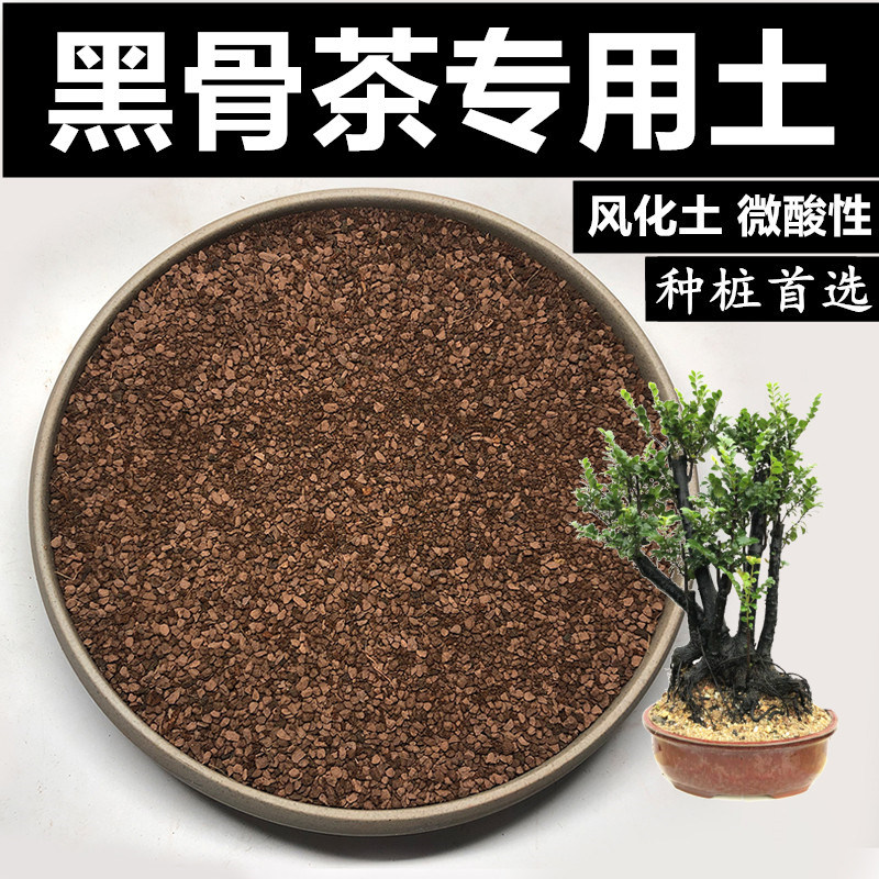 黑骨茶土风化土颗粒土红沙土酸性土盆景土风化石赤玉土种桩专用土